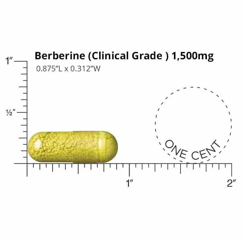 Berberine Clinical Grade | Doctors' Preferred

