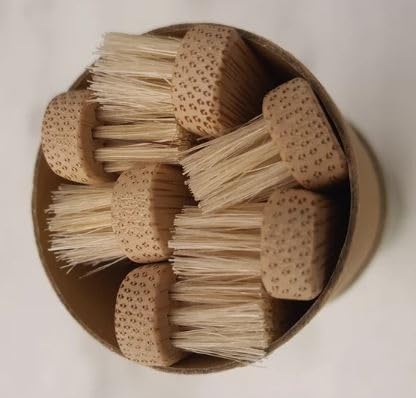Gaia Guy Bamboo Toothbrush | Eco Friendly


