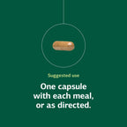 Livaplex Digestive and Liver Health | Standard Process

