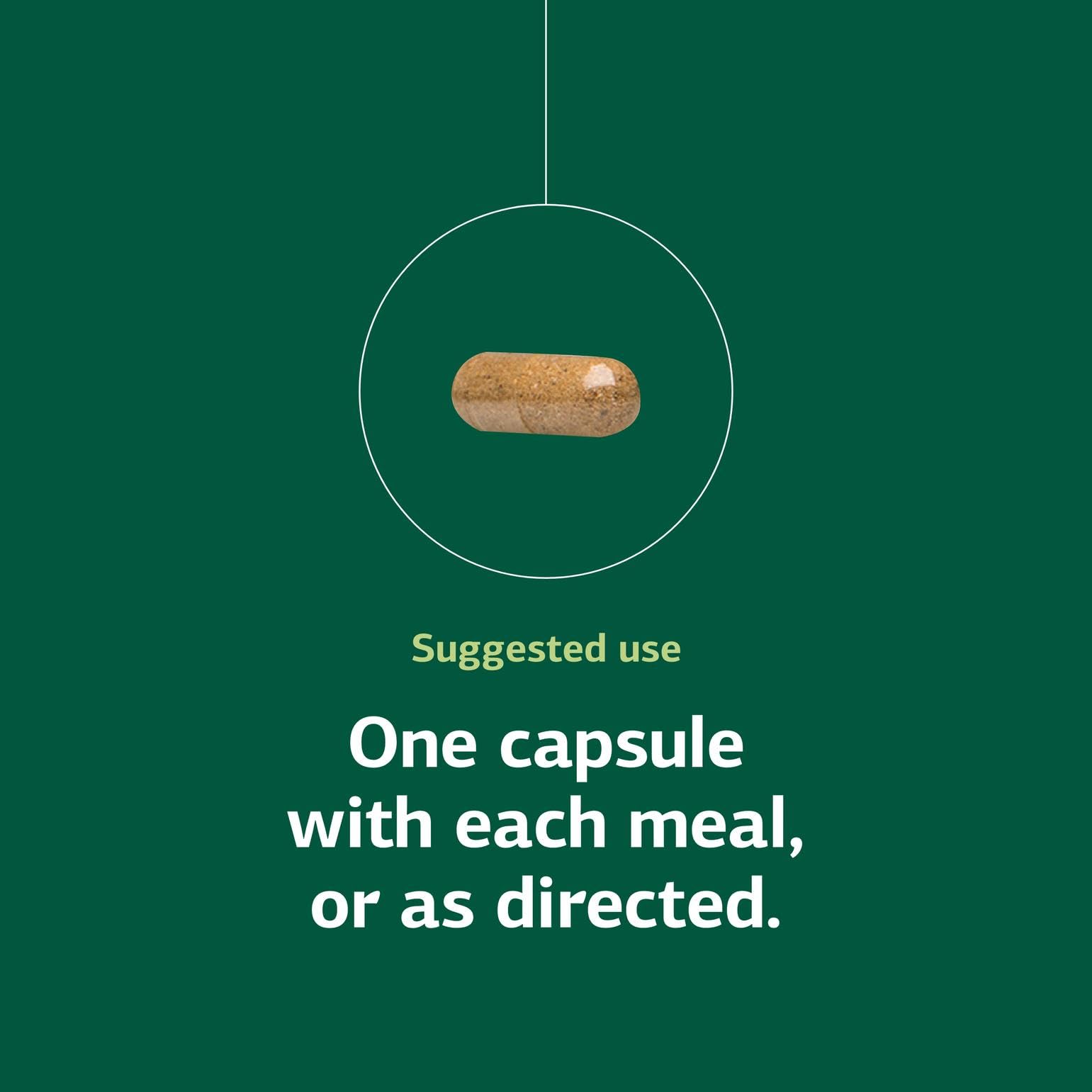 Livaplex Digestive and Liver Health | Standard Process

