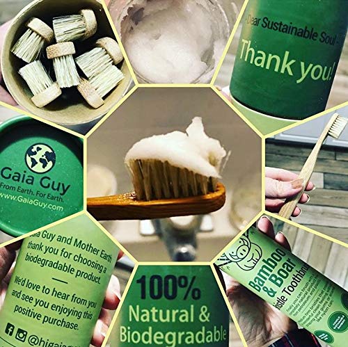 Gaia Guy Bamboo Toothbrush | Eco Friendly

