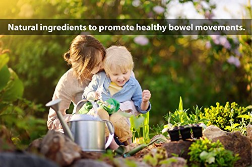 DrFormulas Nexabiotic Multi Probiotic 23-Strain Formula

