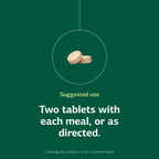 Zypan Digestive Health Tablets by Standard Process

