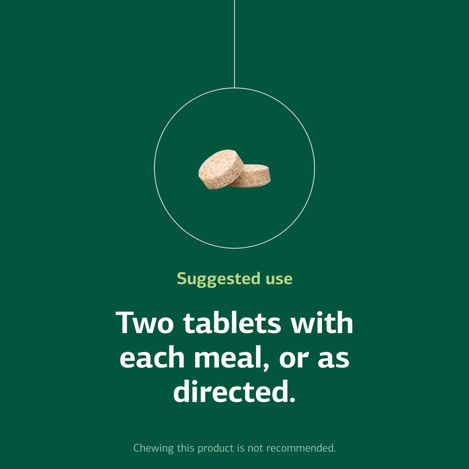 Zypan Digestive Health Tablets by Standard Process


