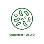 BNRThin Probiotic Lactobacillus gasseri BNR17 10 Billion CFU

