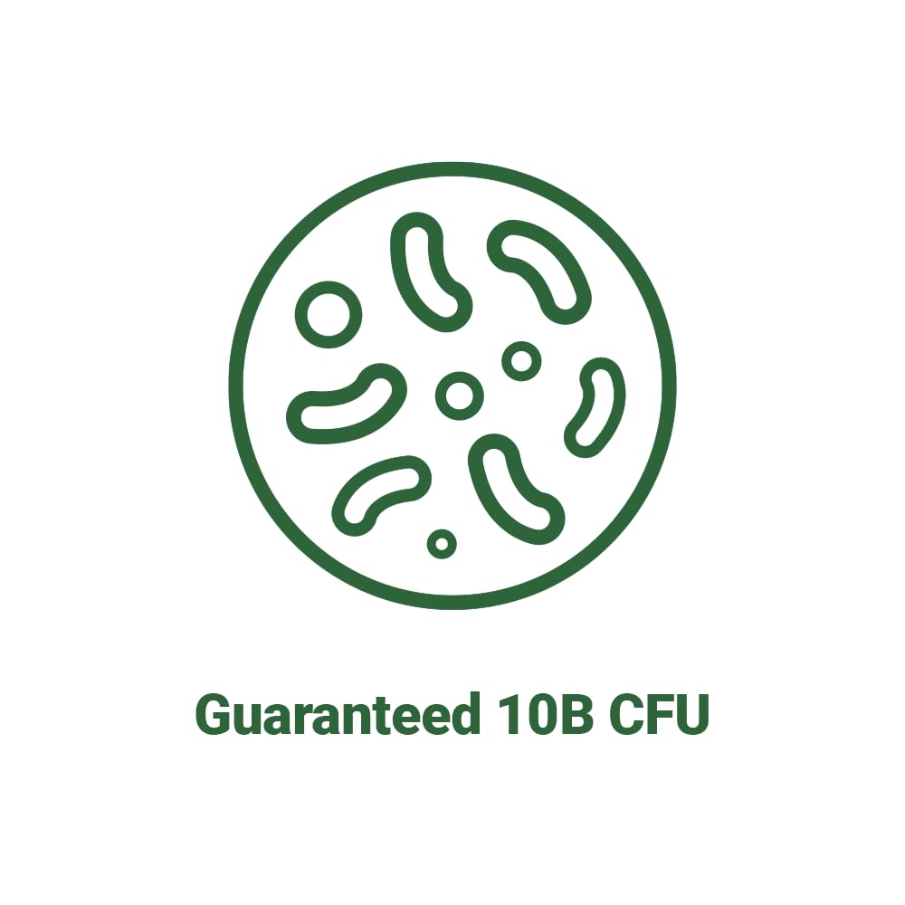 BNRThin Probiotic Lactobacillus gasseri BNR17 10 Billion CFU

