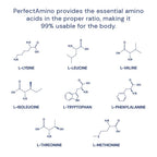 BodyHealth PerfectAmino Essential Amino Acids - Vegan BCAAs

