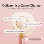 Alaya Multi Collagen Powder | Collagen Supplement


