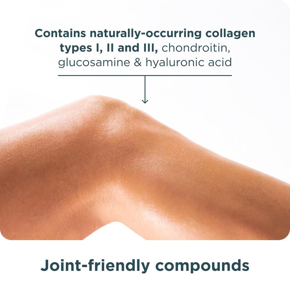 Bone Broth Protein Powder | Ancient Nutrition

