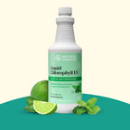 Nature's Sunshine Liquid Chlorophyll – Immunity Support

