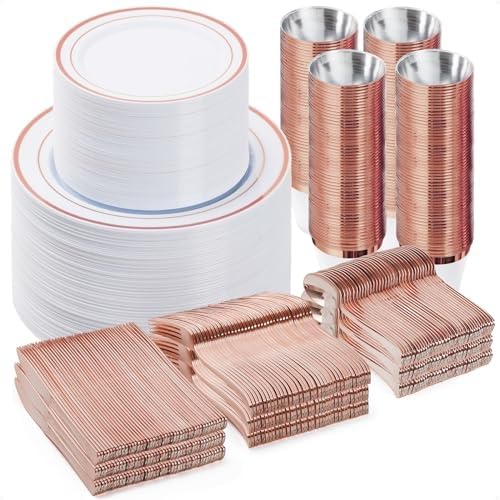 BESTVIP Disposable Dinnerware Set - Plastic Plates & Cutlery
