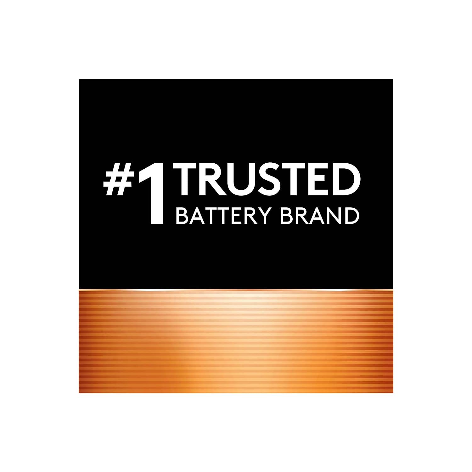 Duracell CopperTop Alkaline Battery with Recloseable Package

