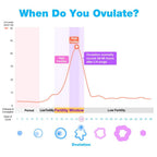 Easy@Home Ovulation Test Strips - Fertility Predictor

