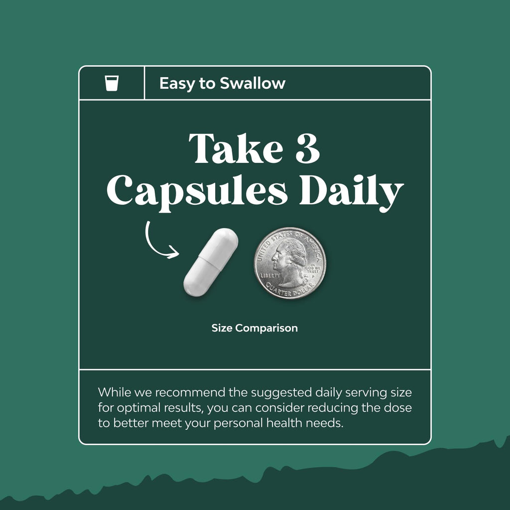 Digestive Enzymes with Ox Bile for Fat and Nutrient Digestion

