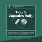 Digestive Enzymes with Ox Bile for Fat and Nutrient Digestion


