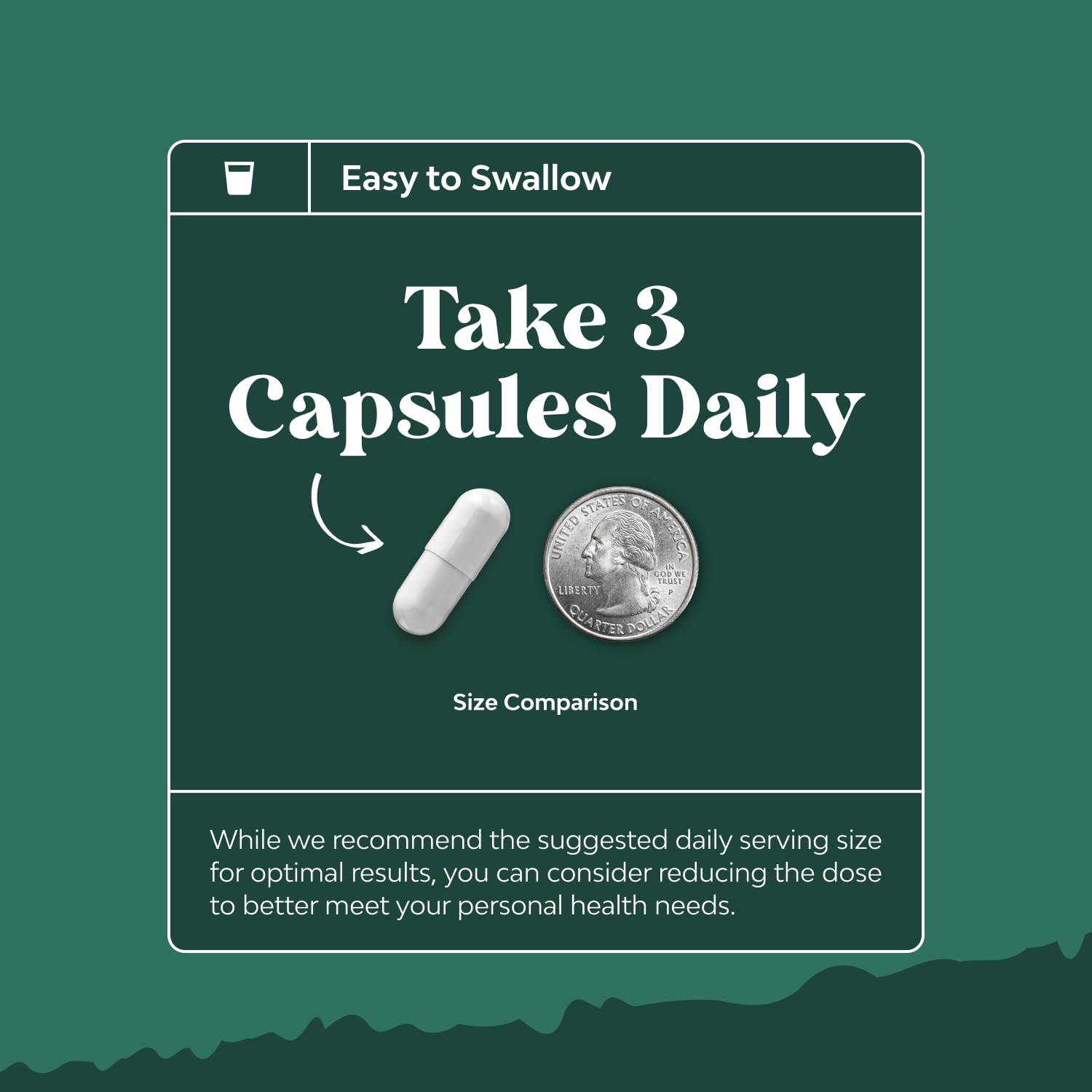 Digestive Enzymes with Ox Bile for Fat and Nutrient Digestion

