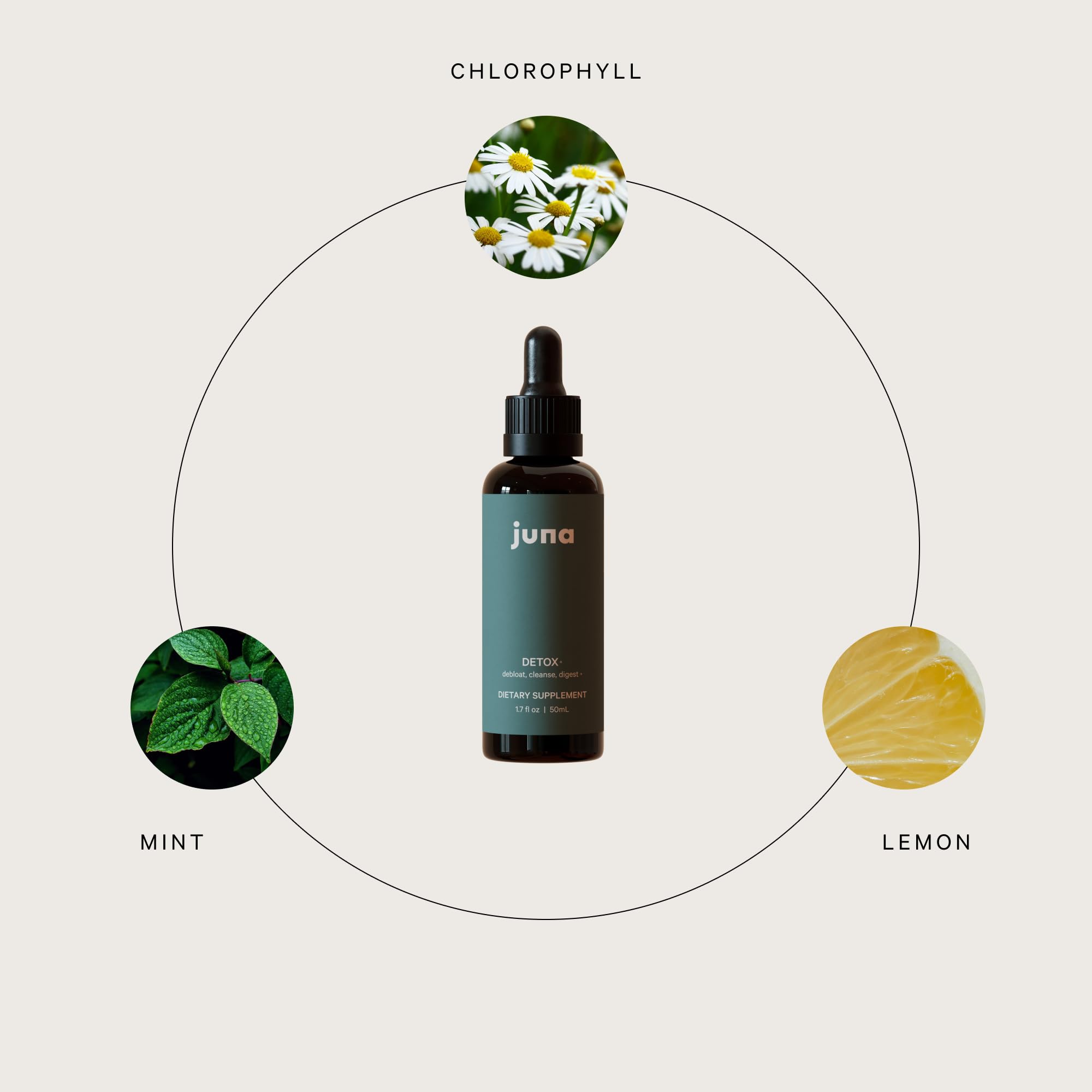 Juna Liquid Chlorophyll Drops – Daily Detox & Vitality

