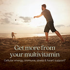 Every Man's One Daily Multivitamin by New Chapter Fermented

