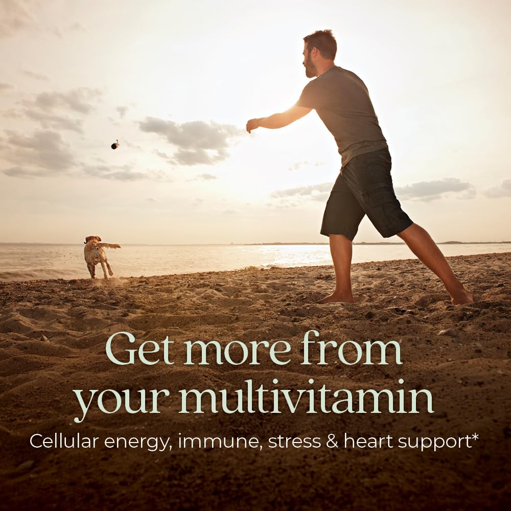 Every Man's One Daily Multivitamin by New Chapter Fermented

