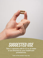 BulkSupplements Lion's Mane Mushroom Extract Supplement

