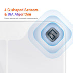 iHealth Nexus Smart Scale Weight and Body Composition

