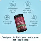 Ancient Nutrition Collagen Peptides Powder with Probiotics

