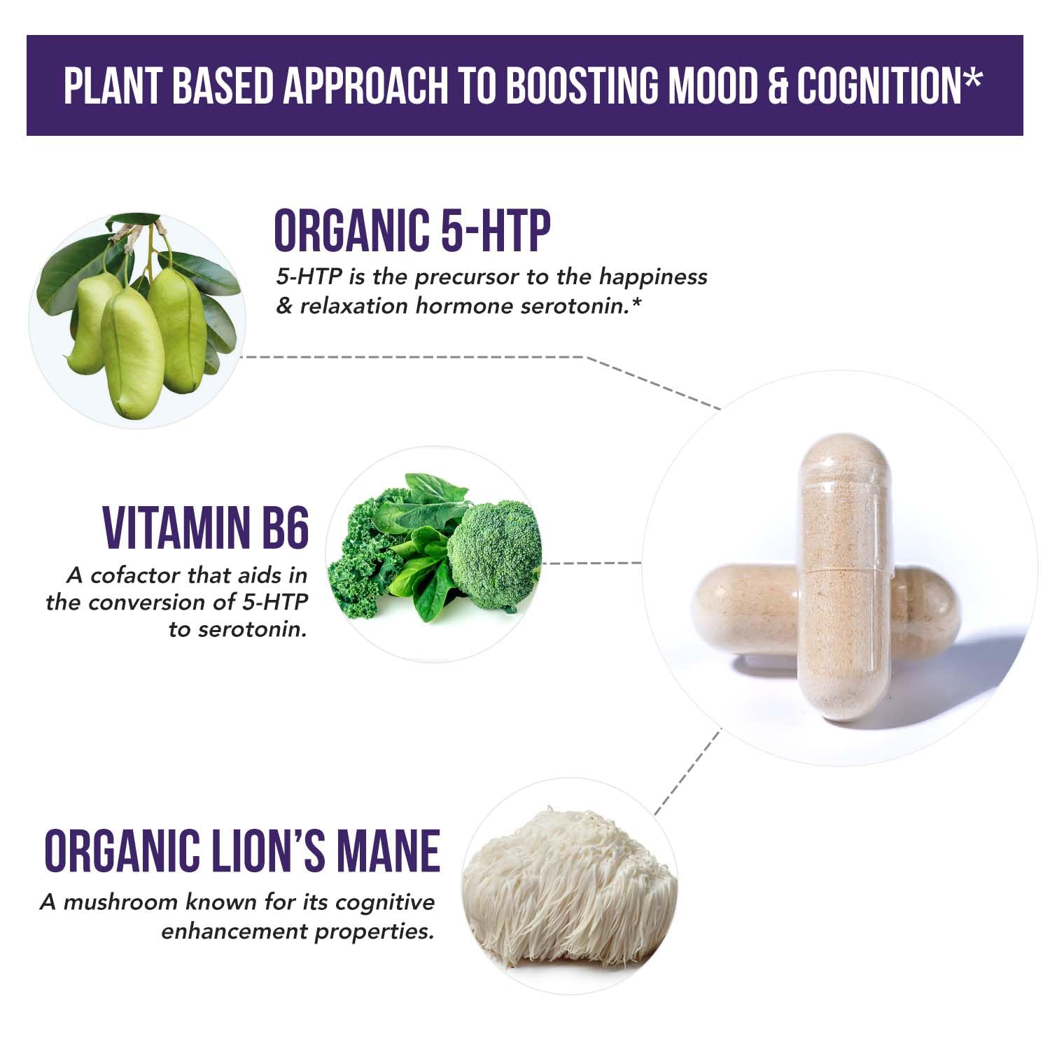 Organic 5-HTP Dietary Supplement with B6 & Lion’s Mane

