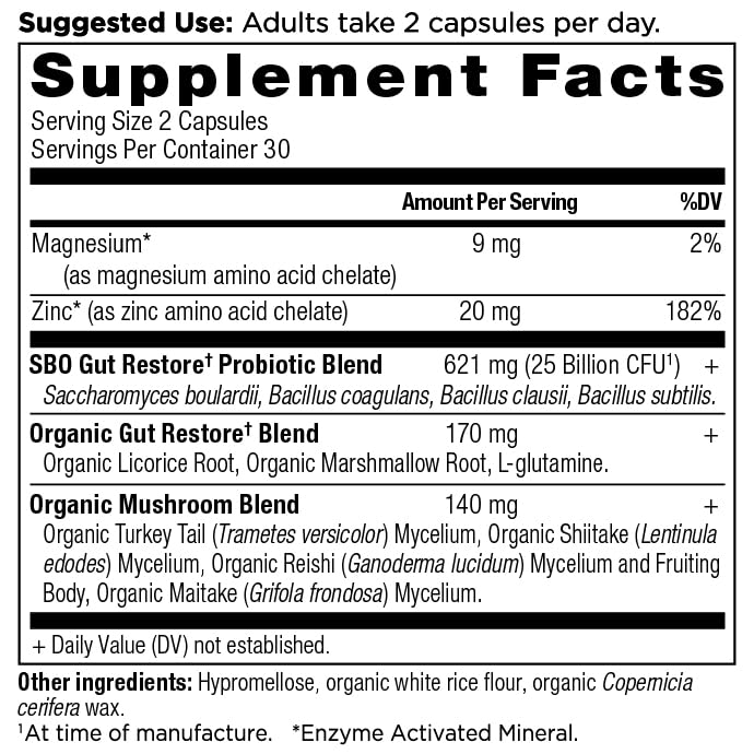 Ancient Nutrition SBO Probiotics for Digestive Health

