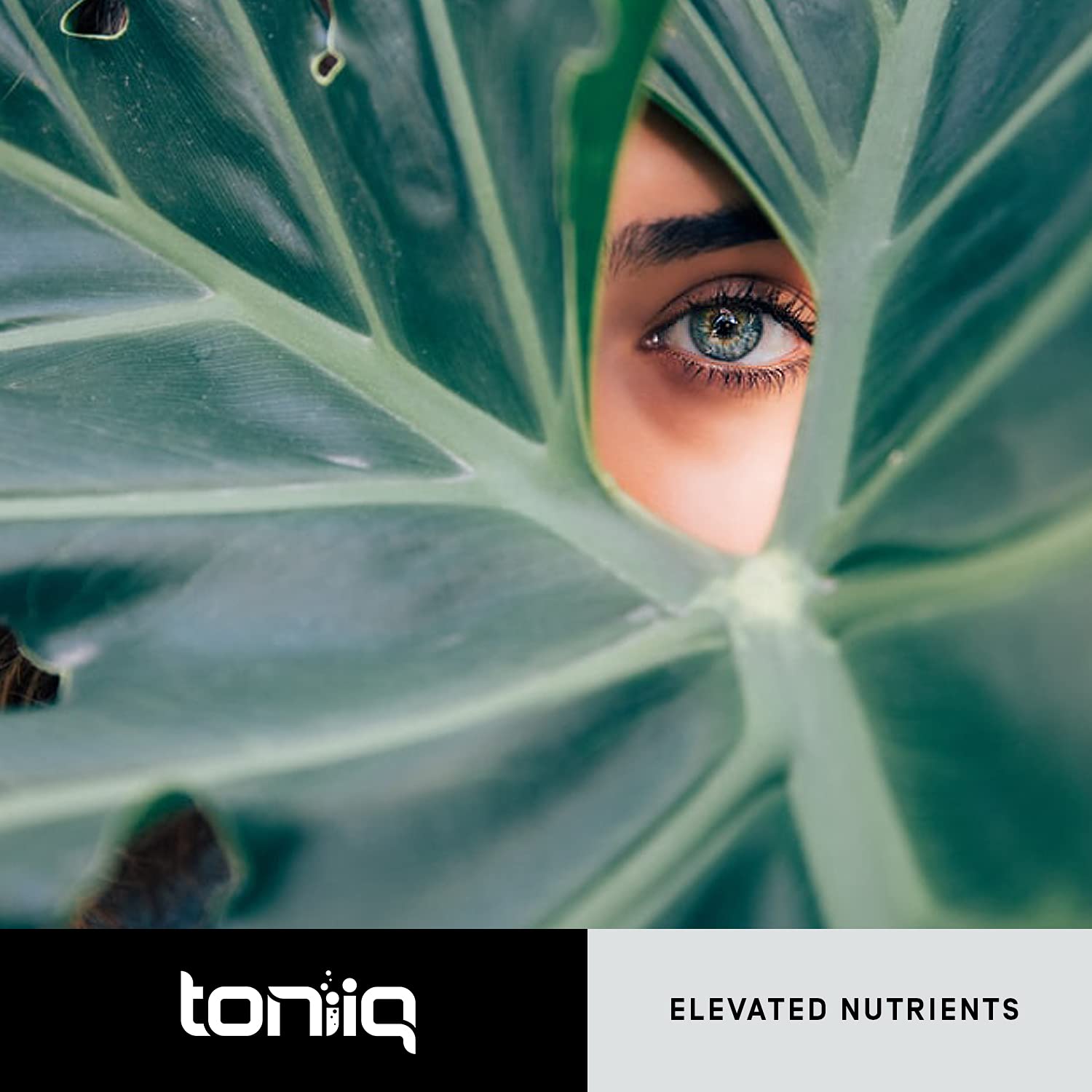 Toniiq Resveratrol Capsules - 98% Trans-Resveratrol

