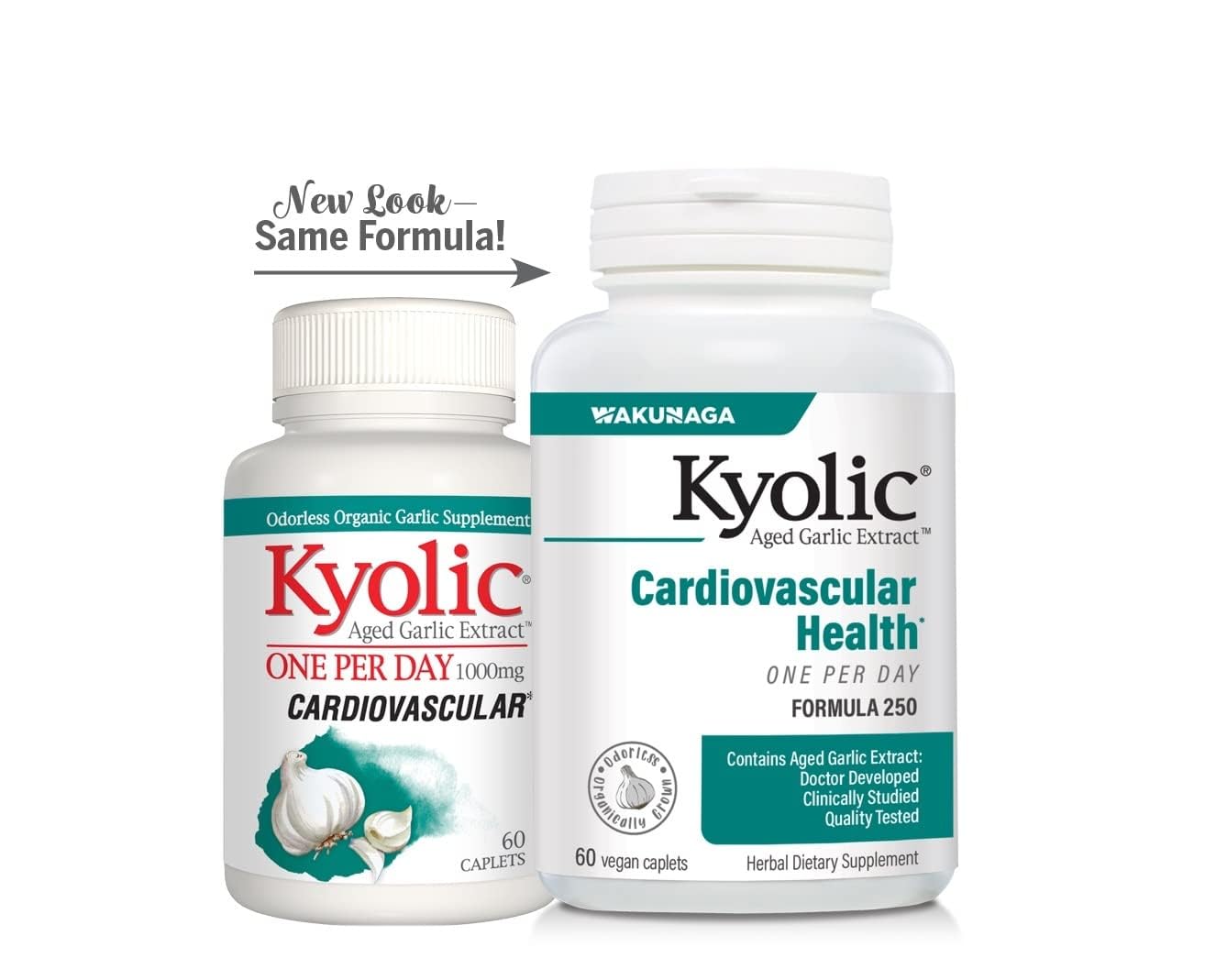 Kyolic Aged Garlic Extract Formula 250 Cardiovascular

