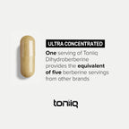 Toniiq Dihydroberberine with GlucoVantage | High Potency


