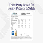 Rho Nutrition Liposomal TMG - Ultra Absorption Supplement

