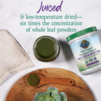 Garden of Life Raw Perfect Food Greens Powder Detoxifier

