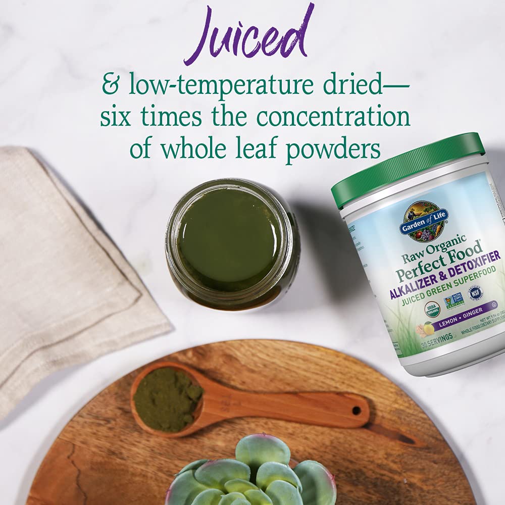 Garden of Life Raw Perfect Food Greens Powder Detoxifier

