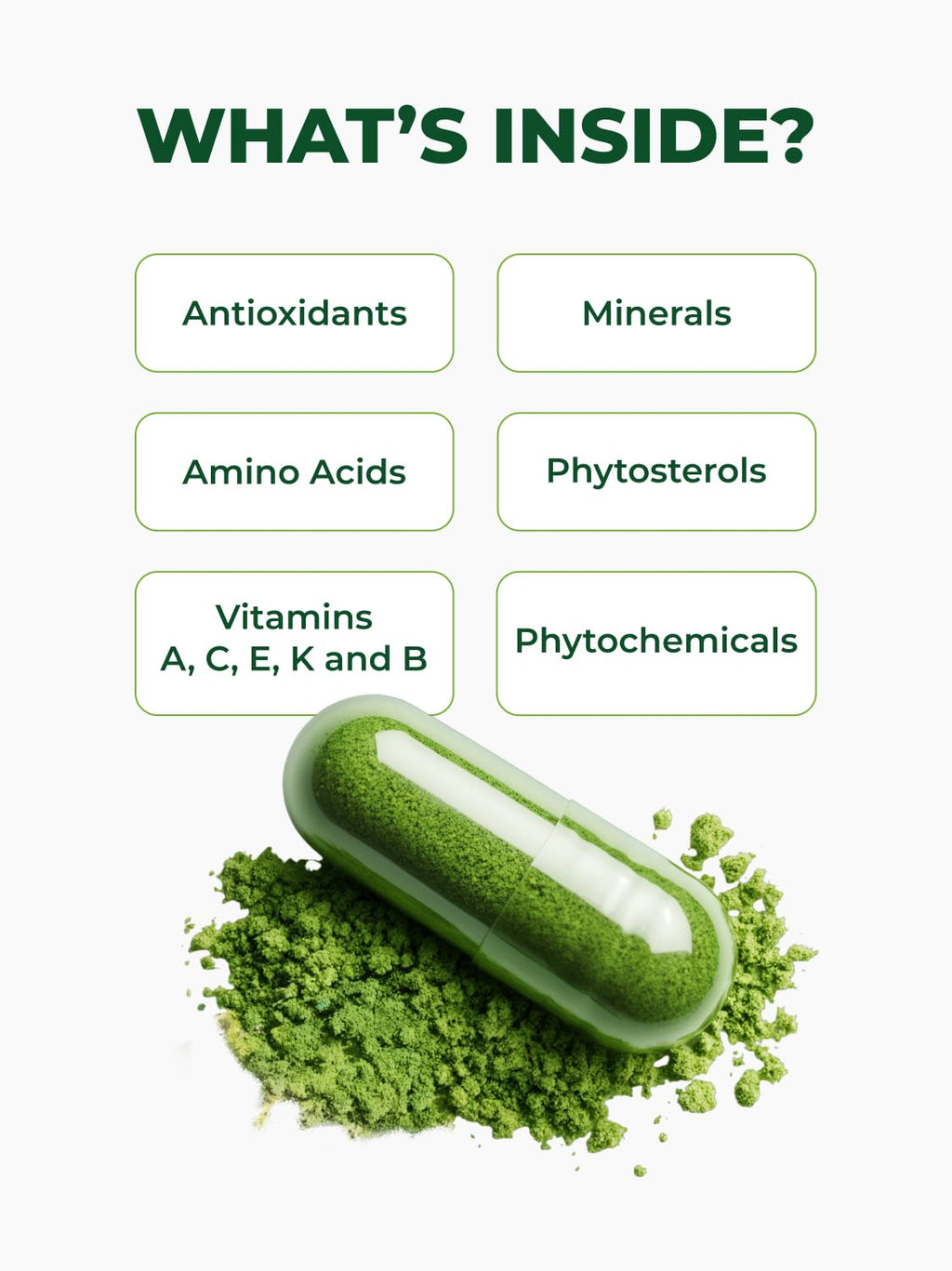 Pura Vida Moringa Capsules — Pure Leaf Powder

