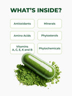 Pura Vida Moringa Capsules — Pure Leaf Powder

