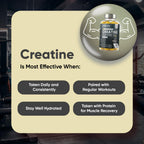 WeightWorld Creatine Monohydrate Supplement | Performance

