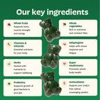 Grüns Adult Greens Gummies Multivitamin with Prebiotic Fiber

