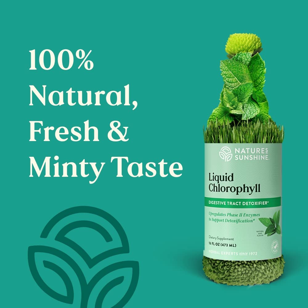 Nature's Sunshine Liquid Chlorophyll – Immunity Support

