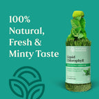 Nature's Sunshine Liquid Chlorophyll – Immunity Support

