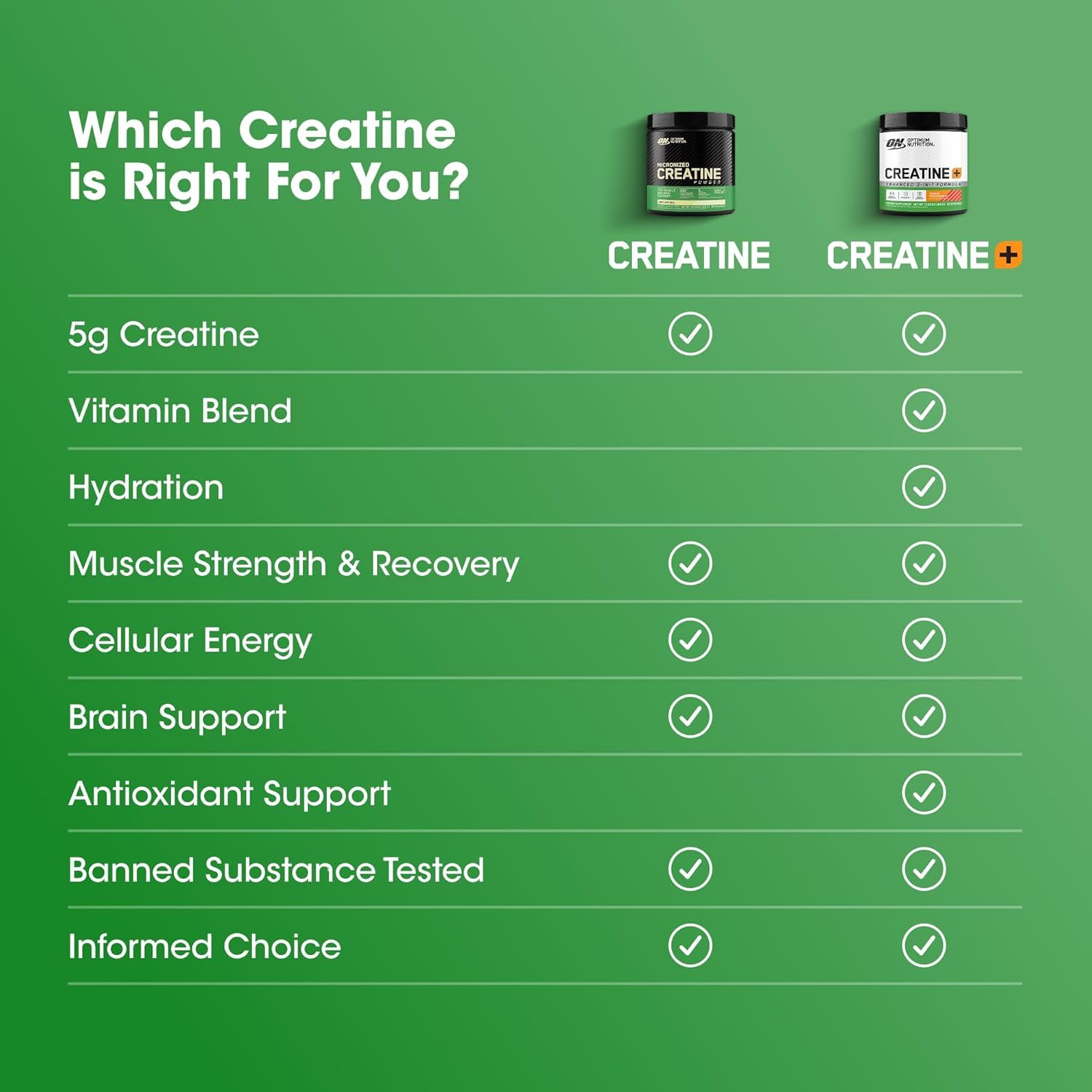 Optimum Nutrition Creatine Micronized Powder - 5 g per scoop

