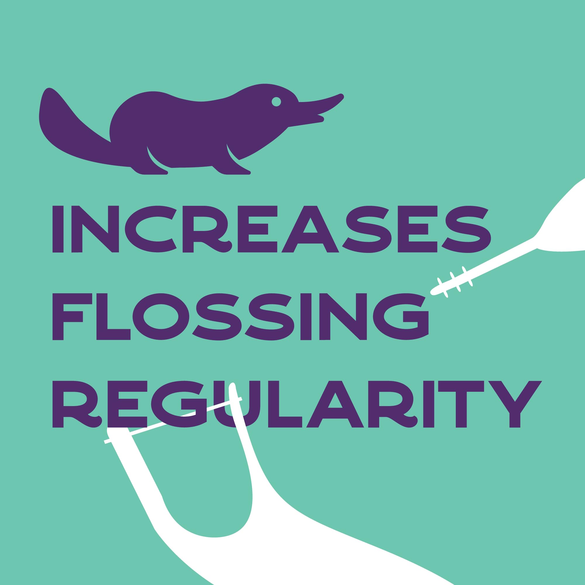 Platypus Orthodontic Flossers for Braces | Safe & Efficient

