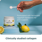 Ancient Nutrition Creatine + Collagen + Electrolytes

