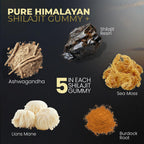 Vitamax Shilajit Gummies – Mineral Wellness Formula

