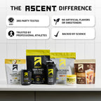 Ascent Clean Creatine Monohydrate Powder Creapure Certified

