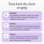 Omre NMN + Resveratrol NAD+ Support | 60 Capsules

