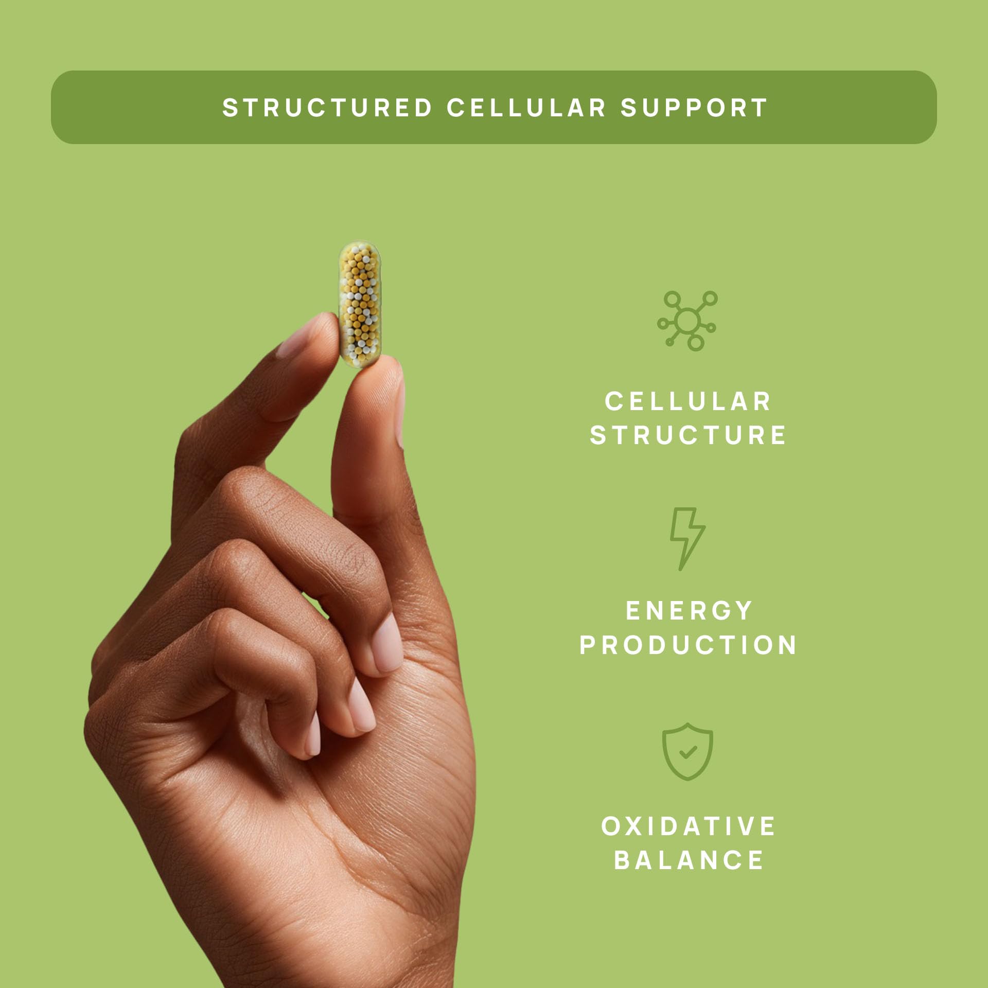 C15:0 Pentadecanoic Acid Supplement for Cellular Health

