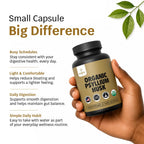 Zealthy Life Fiber Supplement for Gut Health

