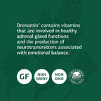 Standard Process Drenamin Adrenal Support | Stress Response

