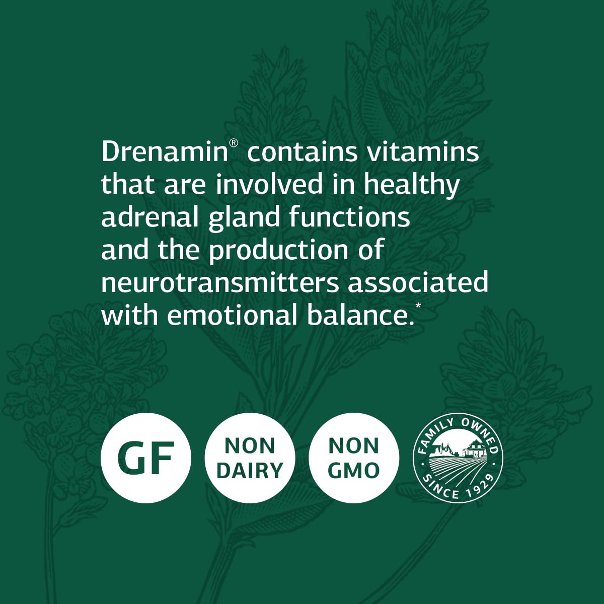 Standard Process Drenamin Adrenal Support | Stress Response

